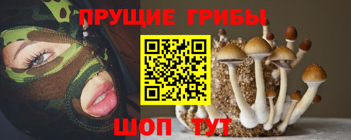 Галлюциногенные грибы GOLDEN TEACHER Алатырь