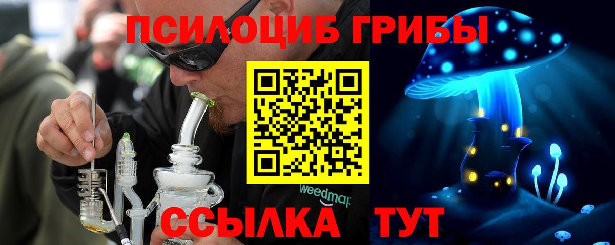 Алатырь  Псилоцибиновые грибы Psilocybe  Вход с VPN 